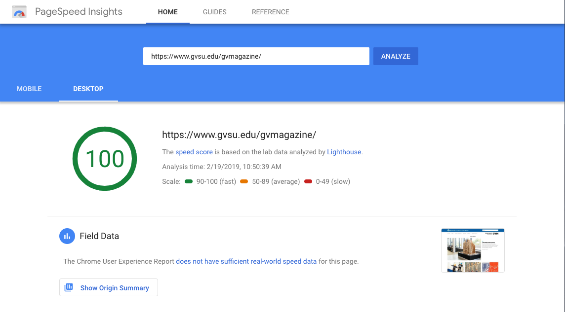Screenshot of page speed insights